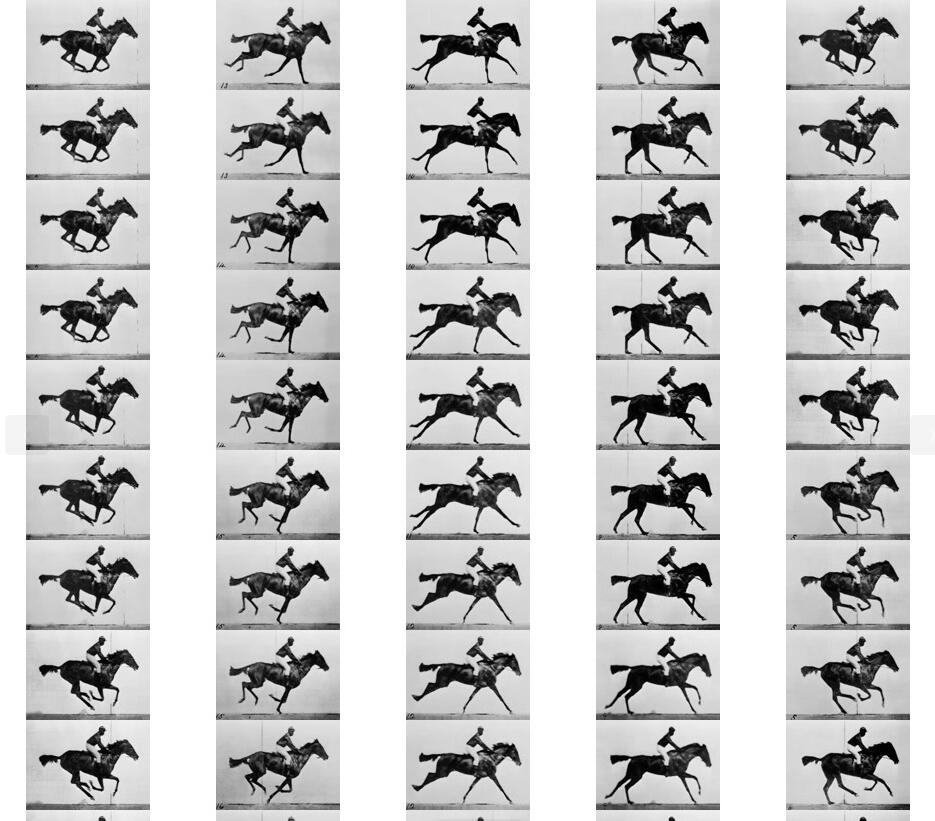 A sheet of frames generated with v2f